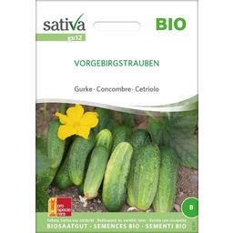 Sativa Bio Gurke "Vorgebirgstrauben"