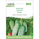 Sativa Cetriolo  Bio - Russo - 1 conf.