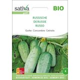 Sativa Biologische Komkommer "Russisch"