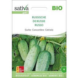 Sativa Bio Gurke "Russische"