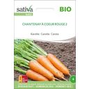 Organic Carrots 