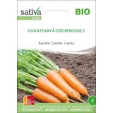 Organic Carrots "Chantenay à coeur rouge 2"