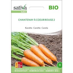 Organic Carrots "Chantenay à coeur rouge 2"