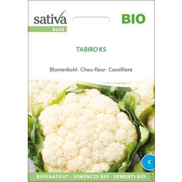 Sativa Bio kalafior "Tabiro KS"