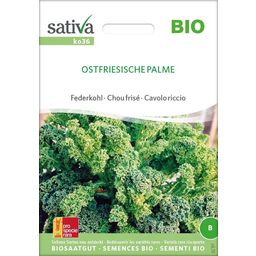 Organic Curly Kale: "Ostfriesische Palme"