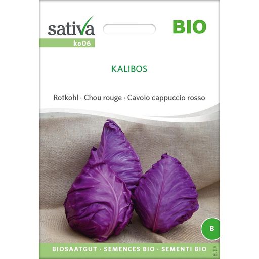 Sativa Cavolo Cappuccio Rosso Bio -Kalibos - 1 conf.