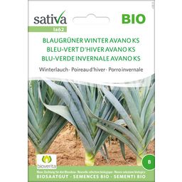 Sativa Poireau Bio "Bleu-Vert d'Hiver Avano KS"