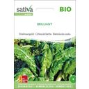 Sativa Bietola da Costa Bio - Brillante - 1 conf.