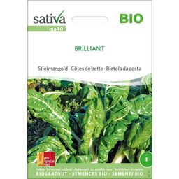 Sativa Bietola da Costa Bio - Brillante - 1 conf.