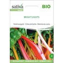 Sativa Bietola da Costa Bio - Bright Lights - 1 conf.