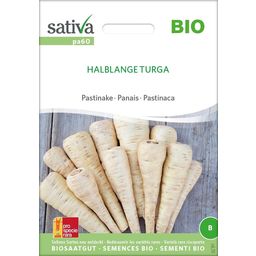 Sativa Bio Pastinake "Halblange Turga"