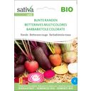 Sativa Barbabietola Rossa Bio - Bunte Randen - 1 conf.