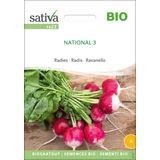Sativa Organic Radishes "National 3"