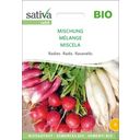 Sativa Mélange de Radis Bio - 1 sachet