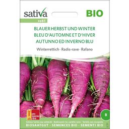 Biologische Winterradijs - Blauwe Herfst en Winter - 1 Verpakking