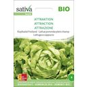 Sativa Bio Kopfsalat Freiland 