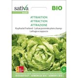 Sativa Organic Head Lettuce "Attraktion"