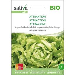 Sativa Lattuga a Cappuccio  Bio - Attrazione - 1 conf.