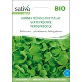 Bio Buttersalat "Grüner Frühschnittsalat"