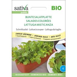 Bio Schnittsalat "Bunte Salatplatte - Saatteppich"