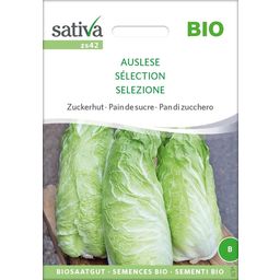 Sativa Organic Sugarloaf Lettuce "Auslese"