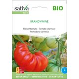 Sativa Bio pomidor mięsisty "Brandywine"