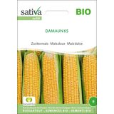 Sativa Biologische Suikermaïs "Damaun KS"