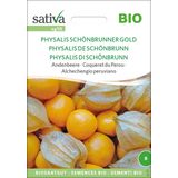 Miechunka peruwiańska "Physalis Schönbrunner Gold" bio