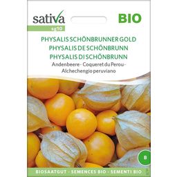 Bio Andenbeere "Physalis Schönbrunner Gold"