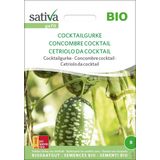 Biologische Melothria Scabra Cocktailkomkommer