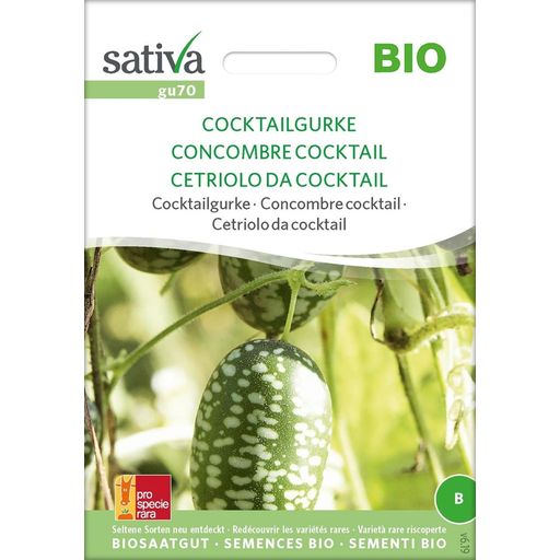 Melothria scabra Bio - Cetriolo da Cocktail - 1 conf.