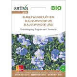 Organic Green Manure  "Blaues Wunder, Linseed"