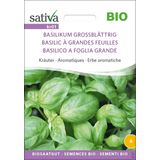 Herbes Aromatiques Bio "Basilic à Grandes Feuilles"