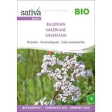 Sativa Bio bylinky "Valeriána lekárska"