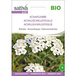 Erbe Aromatiche - Achillea Millefoglie Bio