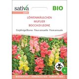 Sativa Fiore Annuale -  Bocca di Leone Bio