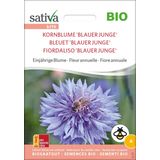 Sativa Bio "Búzavirág - Kék fiú" egynyári virág