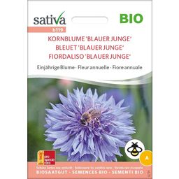 Bio Einjährige Blume "Kornblume - Blauer Junge"