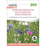 Sativa Fiore Annuale -  Mix Fiordaliso Bio