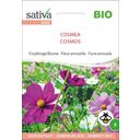 Sativa Fiore Annuale - Cosmea Bio - 1 conf.