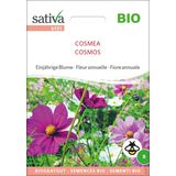 Sativa Biologische Eenjarige Bloem "Cosmea"