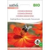 Sativa Bio Einjährige Blume "Cosmea Orange"