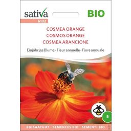 Sativa Fiore Annuale - Cosmea Arancione Bio - 1 conf.