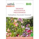 Sativa Organic Annual Sweet Peas - 1 Pkg