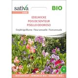 Sativa Bio kwiat roczny "Groszek pachnący"