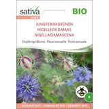 Sativa Bio Einjährige Blume "Jungfer im Grünen"