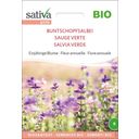 Sativa Sauge Verte Bio - 1 sachet