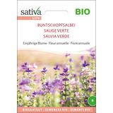 Sativa Organic Annual Salvia Horminum