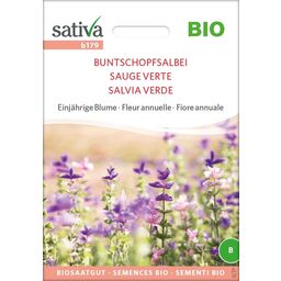 Sativa Bio Einjährige Blume "Buntschopfsalbei"