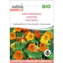 Sativa Organic Annual Nasturtiums - 1 Pkg